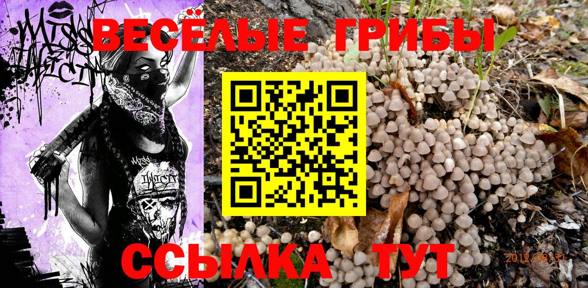 Ангарск  Псилоцибиновые грибы мухоморы  Вход с VPN 